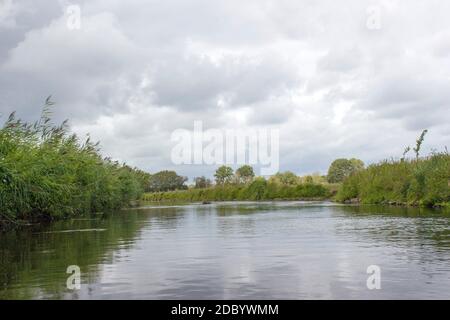 Fiume Niers, regione del basso Reno, Germania Foto Stock