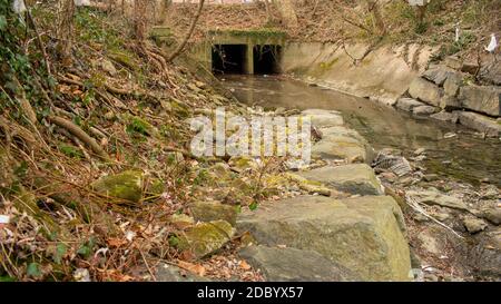 Un tunnel oscuro e spooky in un Creek poco profondo in Una foresta d'autunno Foto Stock