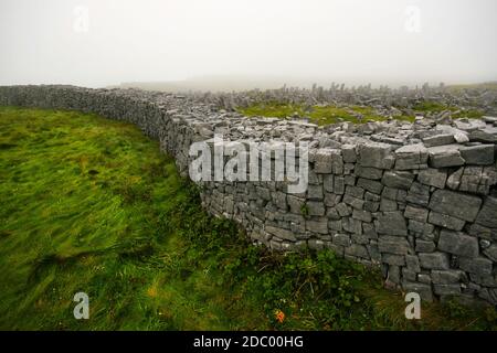 Pietra pareti in mattoni che salgono dal dolce erba vicino Dun Aonghasa - semi circolari in pietra forte sulla Inis Mor (Inishmore) Isola con fitta nebbia in background. Ara Foto Stock