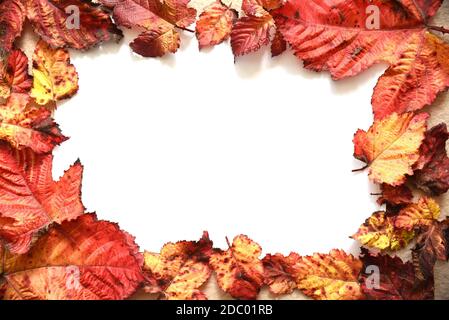 Cornice composta da foglie autunnali rosse e arancioni con foglio di carta bianco al centro. Natura sfondo Foto Stock