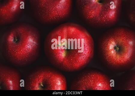 Vista dall'alto di numerose mele grandi di colore rosso dolce maturo, sulla cui superficie gocce d'acqua limpida. Una raccolta di frutta deliziosa. Foto Stock