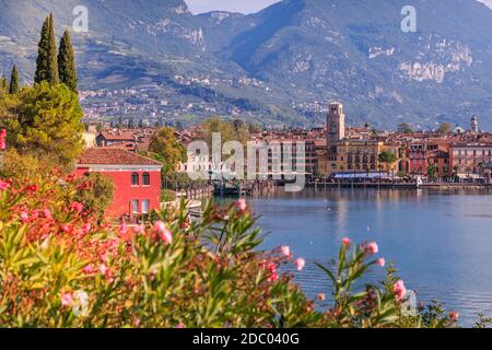 Vista in elevazione sul porto di Riva del Garda, Lago di Garda, Trentino, Italia, Europa Foto Stock