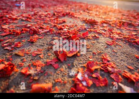 I vigili del fuoco di Capodanno il giorno dopo la vigilia di Capodanno´s Foto Stock