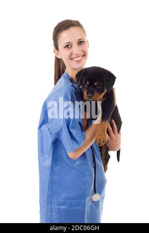 Veterinario bruna con un rottweiler cucciolo di cane isolato su sfondo bianco Foto Stock