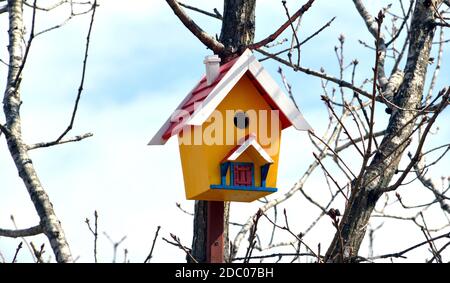 Birdhouse in legno giallo con tetto rosso. Appeso sull'albero su sfondo blu del cielo. Molla Foto Stock