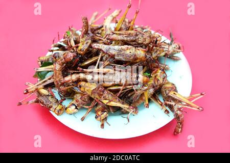 primo piano grasshopper fritto o belalang goreng è cibo tradizionale dal sud-est asiatico Foto Stock