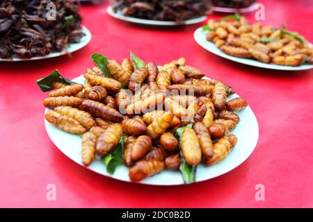 larve grub fritte, pronte a mangiare Foto Stock