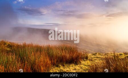 Nebbia, nebbia e cielo drammatico su una brughiera o palude con cannucce di tronchi d'erba. Suggestivo paesaggio delle montagne di Wicklow, Irlanda Foto Stock