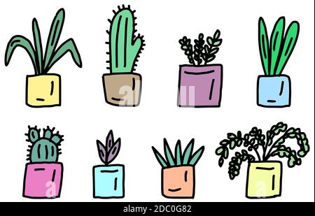 Set di piante di casa carino in pentole, disegno a mano. Colorato set botanico in stile doodle. Illustrazione vettoriale isolata su sfondo bianco. Illustrazione Vettoriale