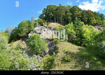 L'Umpfen, vecchia cava vicino a Fischbach nel RhÃ¶n Foto Stock