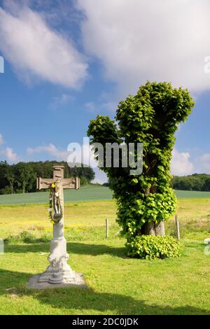 Edicola croce vicino Terborgh castello nel villaggio olandese di Schinnen nella maggior parte sud della provincia di Limburgo Foto Stock