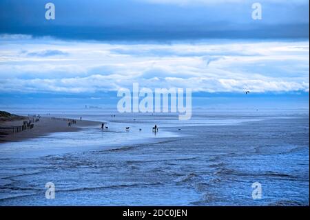 Dog Walkers e kite volantini sulla spiaggia di St Annes un freddo buio tardo pomeriggio in inverno Foto Stock