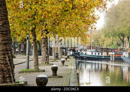 Schiedam, Paesi Bassi, 23 ottobre 2020: Chiatte storiche, paludi ormeggianti e platani in autunno al canale Nieuwe Haven Foto Stock