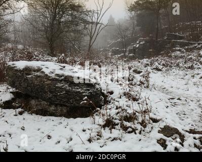 "Dark winter wood", due strade che si divergono in un nebboso bosco invernale innevato, nel Nord Yorkshire, Inghilterra. Un paesaggio invernale scuro con due sentieri e faggi Foto Stock