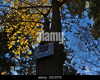 Bad Teinach-Zavelstein, Germania - 11/14/2020: Segnavia sul sentiero escursionistico nel nord della bassa catena montuosa Foresta Nera attaccato ad albero in autunno. Foto Stock