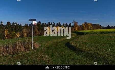 Bad Teinach-Zavelstein, Germania - 11/14/2020: Bella vista del cartello da parte sentiero escursionistico che conduce su prato verde con alberi variopinti colza. Foto Stock