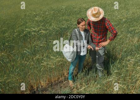 Banchiere e contadino che negoziano prestiti bancari per l'agricoltura in campo d'orzo, fotografia aerea dal drone pov Foto Stock