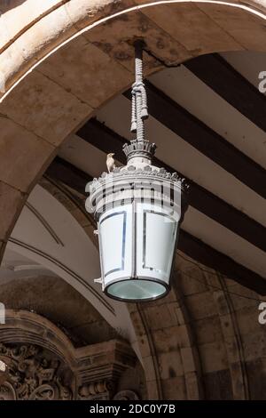 Un passero su una delle luci negli archi di Salamanca Plaza Mayor, Castille e Leon, Spagna Foto Stock