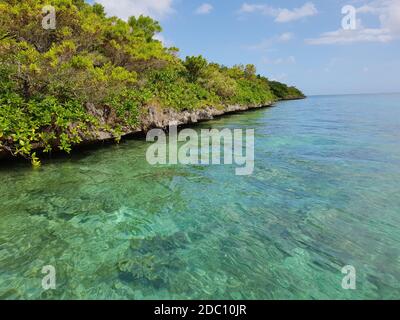 Ile aux egrette con vista sulla montagna di Lion sull'Isola Mauritius Foto Stock