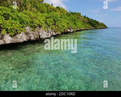 Ile aux egrette con vista sulla montagna di Lion sull'Isola Mauritius Foto Stock