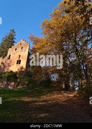 Bella vista verticale della rovina storica castello Burg Zavelstein a Bad Teinach-Zavelstein, Foresta Nera, Germania con scale di pietre e fogliame. Foto Stock