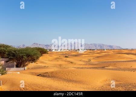 Paesaggio desertico con dune di sabbia, edifici residenziali e alberi selvatici Ghaf, con le montagne Hajar sullo sfondo, al Madam, Emirati Arabi Uniti Foto Stock