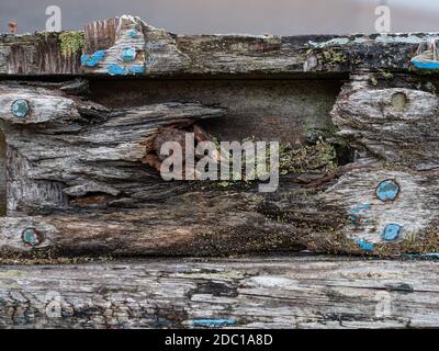 Decadimento navi in legno background Foto Stock