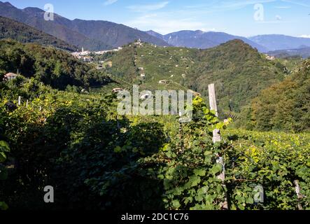 Pittoresche colline di vigneti del Prosecco spumante regione in Guietta e Guia. L'Italia. Foto Stock