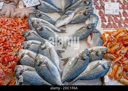 Pesce e frutti di mare in vendita in un mercato a Venezia, Italia Foto Stock