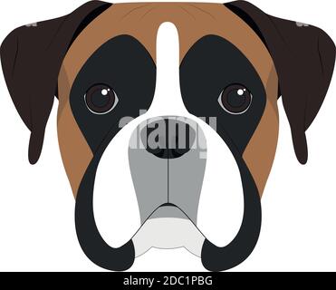 Boxer cane isolato su sfondo bianco illustrazione vettoriale Illustrazione Vettoriale