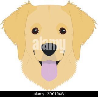Golden Retriever cane isolato su sfondo bianco illustrazione vettoriale Illustrazione Vettoriale