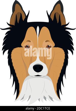 Collie Rough Dog isolato su sfondo bianco illustrazione vettoriale Illustrazione Vettoriale