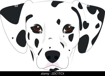 Cane dalmata isolato su sfondo bianco illustrazione vettoriale Illustrazione Vettoriale