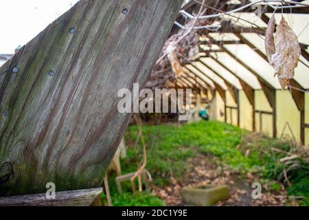 Una trave di sostegno in legno per una serra abbandonata Foto Stock