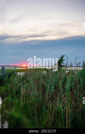 Un tramonto rosso fuoco su alcune piante di Tall al Baia di Wildwood, New Jersey Foto Stock