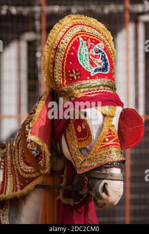 Rishikesh Foto Stock