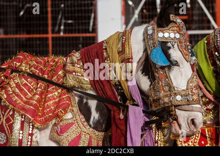 Rishikesh Foto Stock