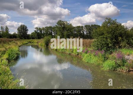 Vista sul fiume Dijle vicino alla città olandese Mechelen Foto Stock