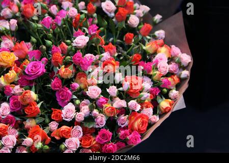Bouquet di piccole rose multicolore Foto Stock