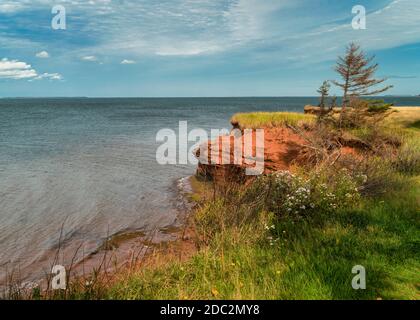 Scogliere di arenaria lungo la costa dell'isola del Principe Edoardo, Canada. Foto Stock