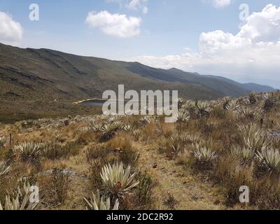 Scenario al Parco Nazionale Naturale di Chingaza in Colombia Foto Stock