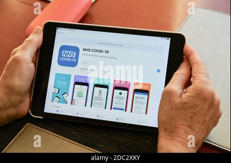Primo piano di una donna anziana che guarda l'app Contact Tracing di NHS COVID-19 sul suo iPad Apple. Foto Stock