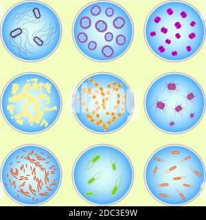 immagine stilizzata di diversi tipi di batteri al microscopio Illustrazione Vettoriale