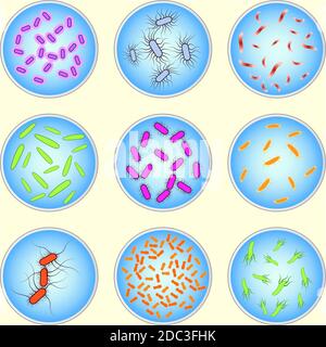 immagine stilizzata di diversi tipi di batteri al microscopio Illustrazione Vettoriale