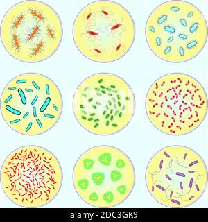 immagine stilizzata di diversi tipi di batteri al microscopio Illustrazione Vettoriale