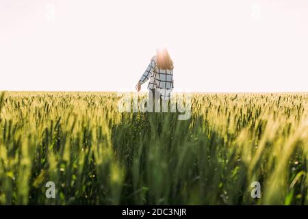 giovane donna cammina attraverso un campo di grano e tocca il orecchie di grano con le mani sullo sfondo di il tramonto Foto Stock