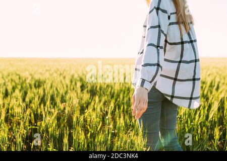 giovane donna cammina attraverso un campo di grano e tocca il orecchie di grano con le mani sullo sfondo di il tramonto Foto Stock