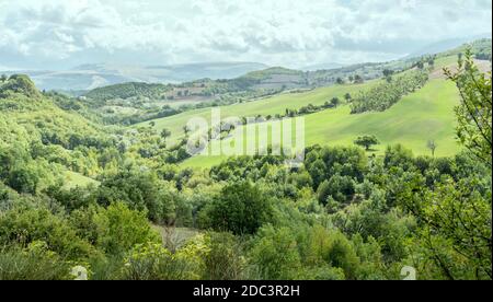 Paesaggio con verde campagna collinare, girato in luce brillante vicino Pievebovigliana, Macerata, Marche, Italia Foto Stock