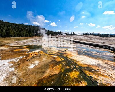 Tappetino batterico, Upper Geyser Basin, Yellowstone National Park, Wyoming, Stati Uniti. Foto Stock