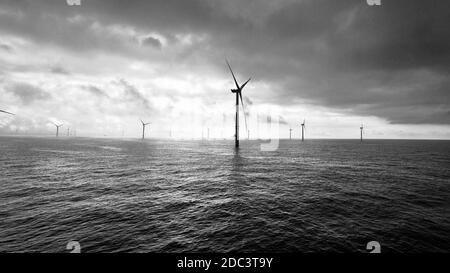 Drammatica immagine in bianco e nero di eolico offshore in mare del nord Foto Stock